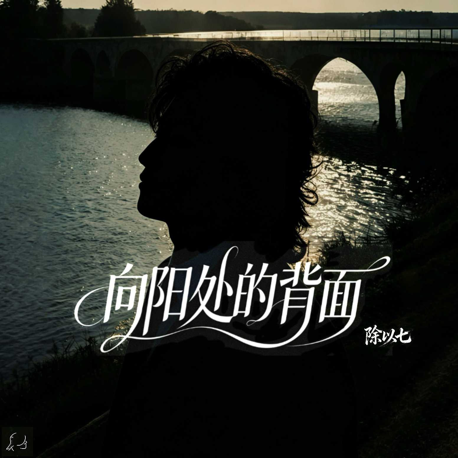 向阳处的背面